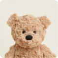 Brown-Bear2089-1