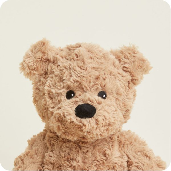 Brown-Bear2089-1