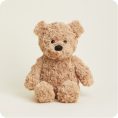 Brown-Bear2089