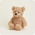 Brown-Bear2092