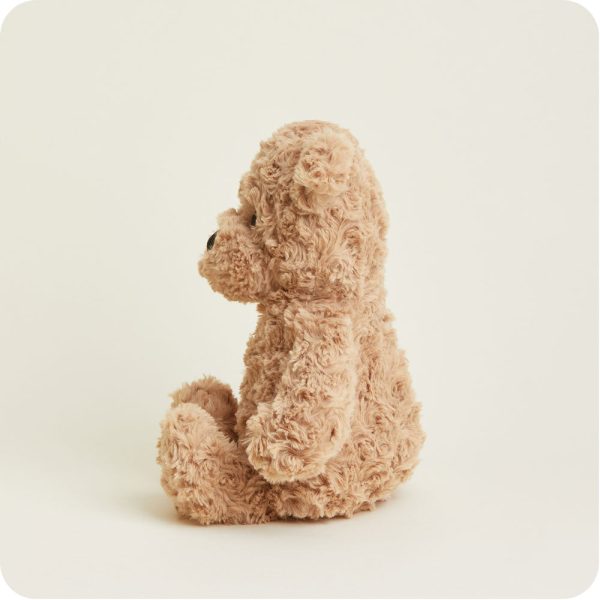 Brown-Bear2093