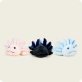 CP-AXO-1-Axolotl-35-1