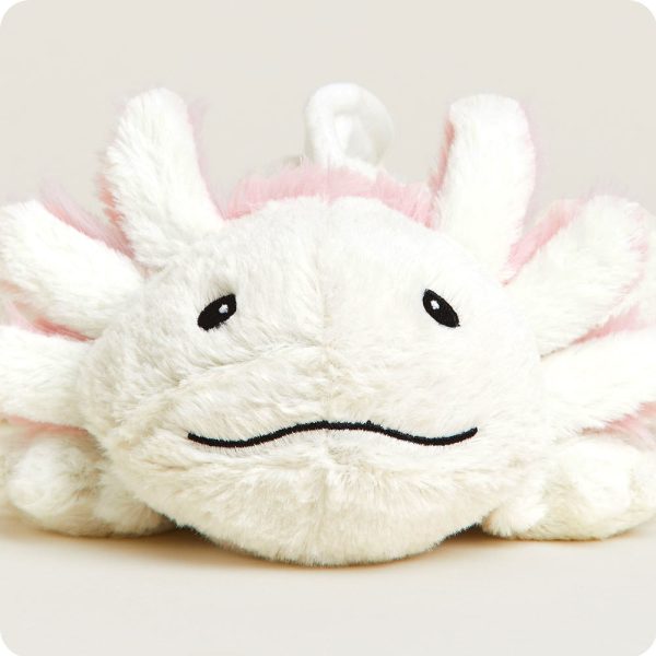 CP-AXO-1-Axolotl-35-1_04aac744-e2d5-4465-b600-5be99841bd25