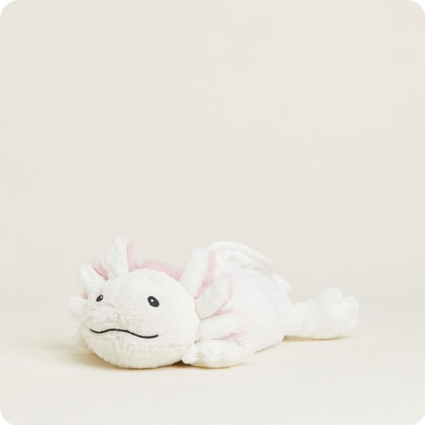 CP-AXO-1-Axolotl-37_1140ffb2-8f1a-4beb-b10e-cc1dac232c39