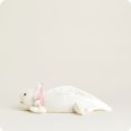 CP-AXO-1-Axolotl-38_a3009669-4599-43dd-aa8a-89abd249292d