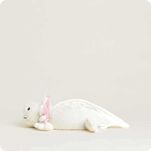 CP-AXO-1-Axolotl-38_a3009669-4599-43dd-aa8a-89abd249292d