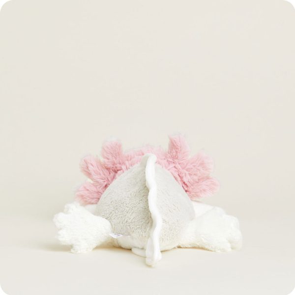 CP-AXO-1-Axolotl-39_ab316c41-82ff-4ddd-bcc7-8643677dfc0c