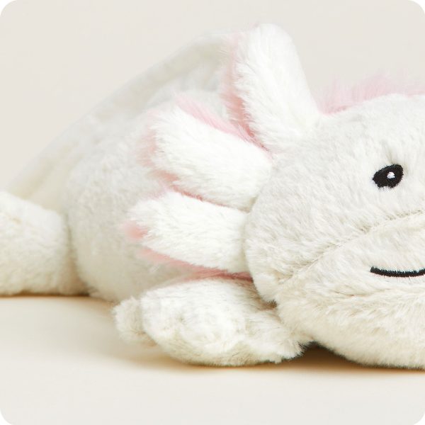 CP-AXO-1-Axolotl-40_5cde1766-5e34-4e1a-943b-db5b7bcc5ed9