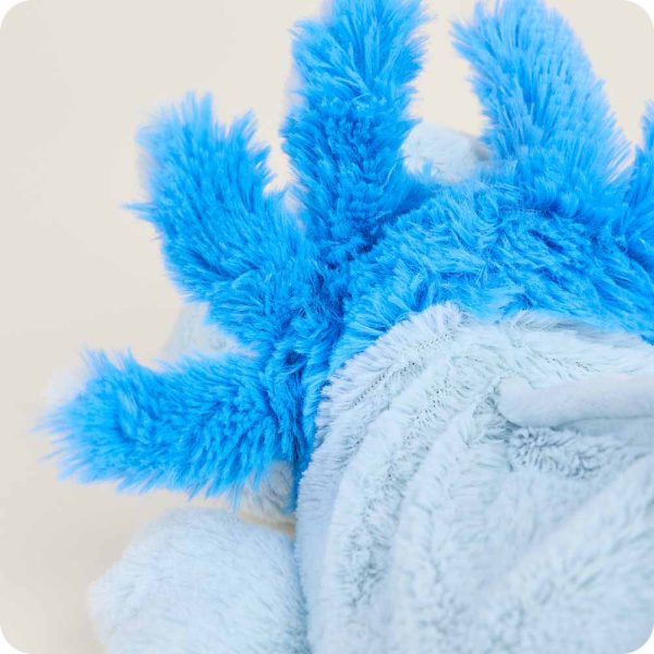 CP-AXO-BL-026