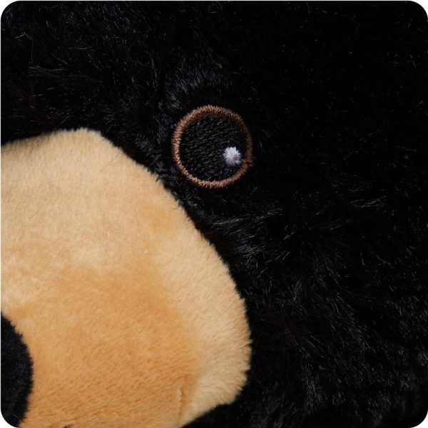 CP-BEA-4-Black-Bear-08_8ee4d03f-8830-477d-bbd9-cc806720ad83