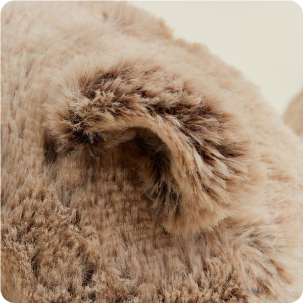 CP-BEA-6-Brown-Bear-05_23244067-6fbc-466b-ab83-9da410fff4a0