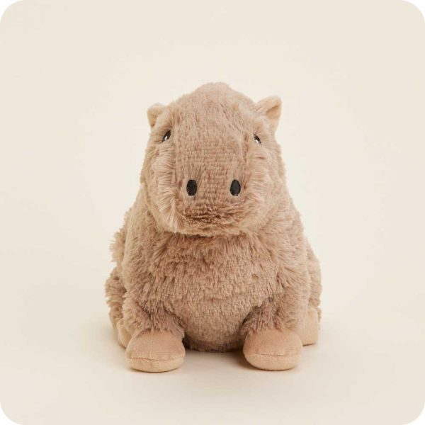 CP-CAPYBARA-0087