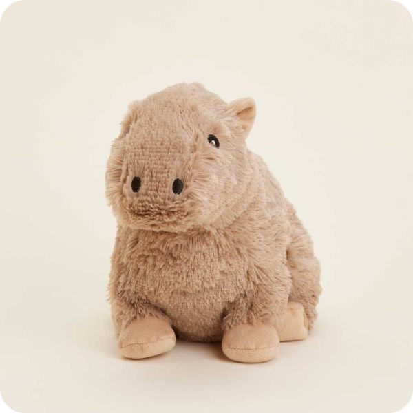 CP-CAPYBARA-0088