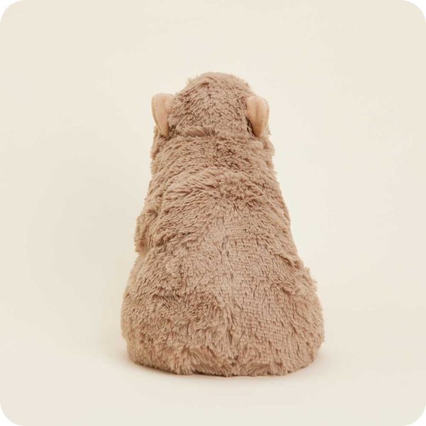 CP-CAPYBARA-0090