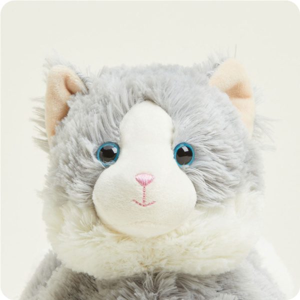 CP-CAT-4-Laying-Down-Gray-Cat-01_050a3adc-7b6d-4c3c-b4f1-1bd8c06939ca