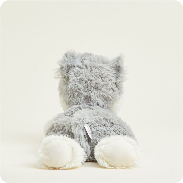 CP-CAT-4-Laying-Down-Gray-Cat-03-Crop_29eb2632-d849-45f4-969e-82393d3b74ac