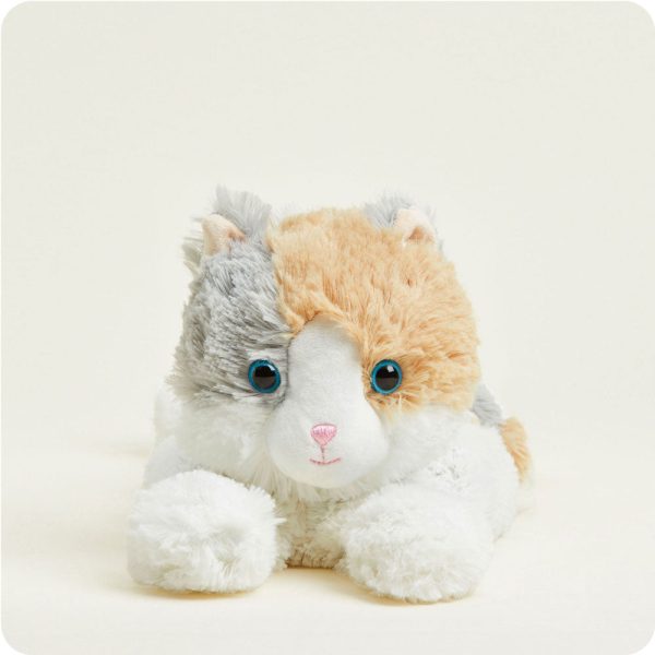 CP-CAT-5-Calico-Cat-01-Crop_e912acb1-2b16-4b30-a57b-f5ec2540b5c5
