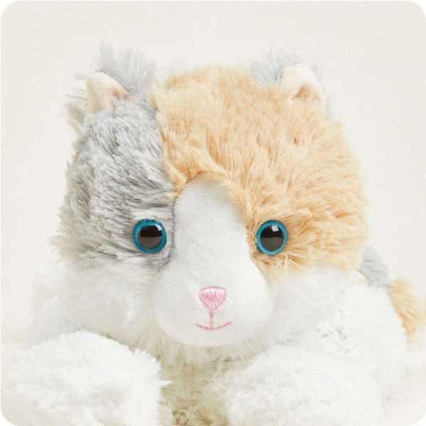 CP-CAT-5-Calico-Cat-01-_1_d5a007b9-3fb5-430f-98c5-afa97623cced