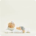 CP-CAT-5-Calico-Cat-02-Crop_e649148f-45a9-4b39-ba67-7b320e538a73