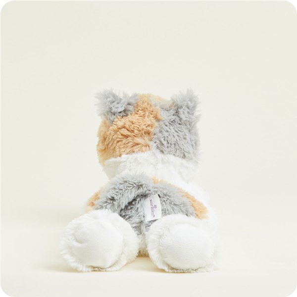 CP-CAT-5-Calico-Cat-05-Crop_65602962-5e5a-418b-ba79-d9db8238b668