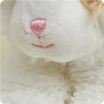 CP-CAT-5-Calico-Cat-08_61e5ea4b-fdd2-4f99-af40-91d3ce4ced7b