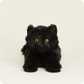 CP-CAT-6008