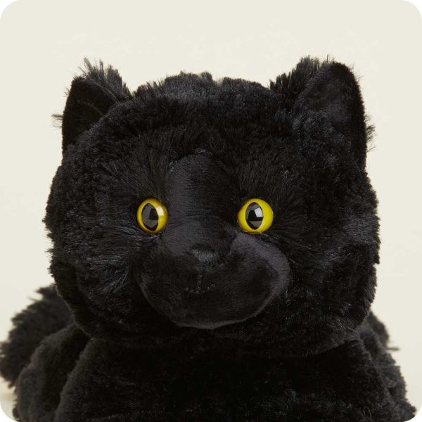 CP-CAT-6015