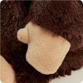 CP-CHI-1-Chimp-08_5f50d5ac-18a8-4177-bfaf-6e268462e031