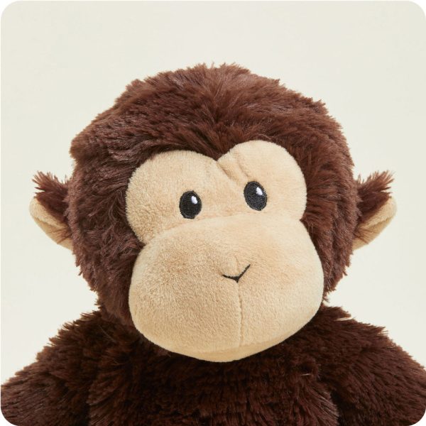 CP-CHI-1-Chimp-1_0497c503-e4f3-493a-a500-3b102f20f22f