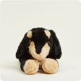 CP-DAS-1-Daschund-01-Crop_5dc6680b-4578-42fa-adf2-c19629caec0b