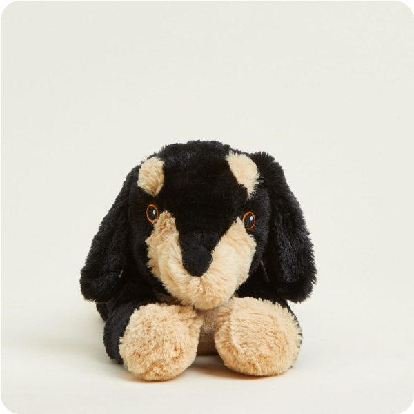 CP-DAS-1-Daschund-01-Crop_5dc6680b-4578-42fa-adf2-c19629caec0b