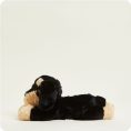 CP-DAS-1-Daschund-02-Crop_e61b7b7d-c08e-41ab-b70a-e9b230a13c3a