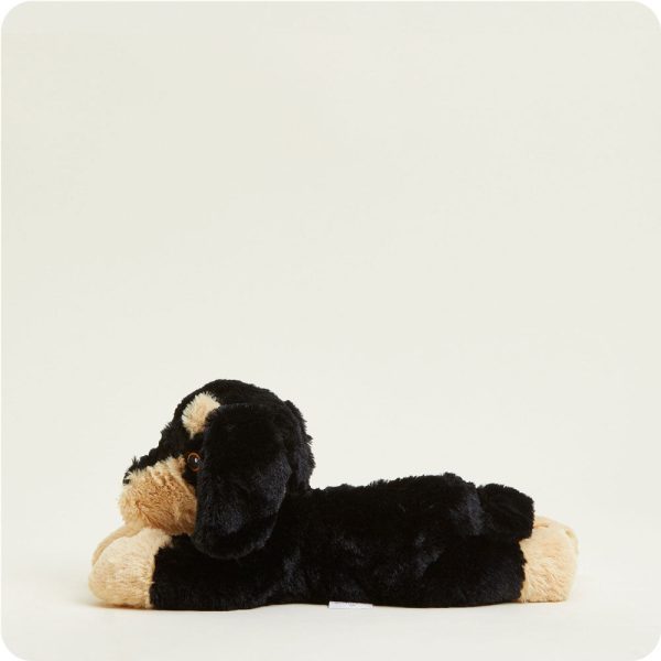 CP-DAS-1-Daschund-02-Crop_e61b7b7d-c08e-41ab-b70a-e9b230a13c3a