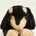 CP-DAS-1-Daschund-03_e35feecb-3861-47ef-b60c-fa05f56bcfd8