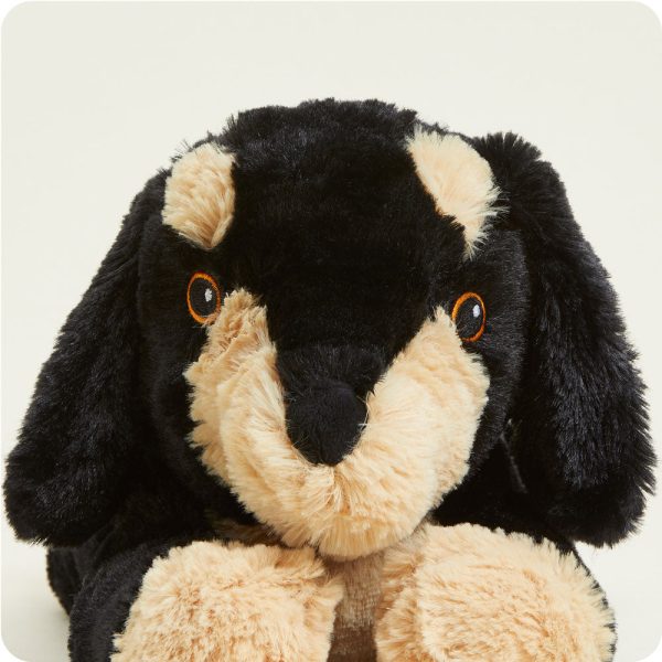 CP-DAS-1-Daschund-03_e35feecb-3861-47ef-b60c-fa05f56bcfd8