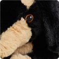 CP-DAS-1-Daschund-05_06688247-eee6-4c48-8cef-3bbcaa6ad90b
