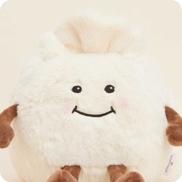 CP-DMP-2-Dumpling-1