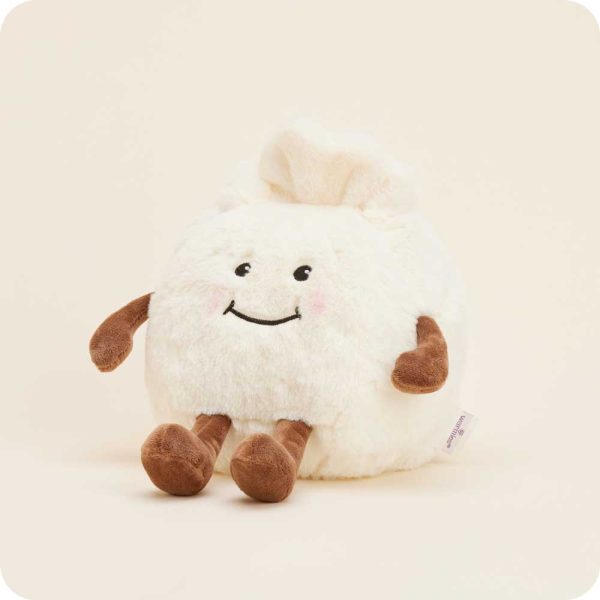 CP-DMP-2-Dumpling-3