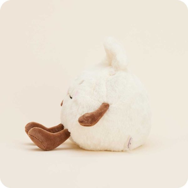 CP-DMP-2-Dumpling-4