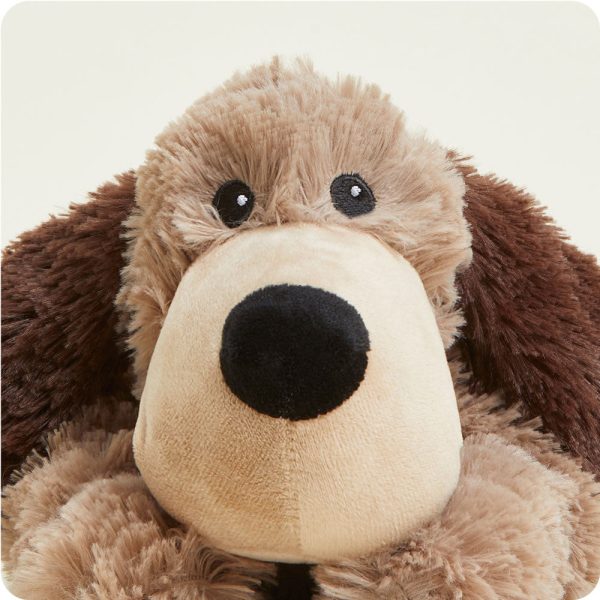 CP-DOG-1-Brown-Dog-01_285cc5af-71cd-4e03-a2c7-92013e15fa3c