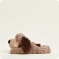 CP-DOG-1-Brown-Dog-02-Crop_da86b2f7-2524-4caa-b0a5-7b67e16cbeca