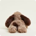 CP-DOG-1-Brown-Dog-05-Crop_e5dd93f2-26ab-4b17-9e7b-9a689690befa