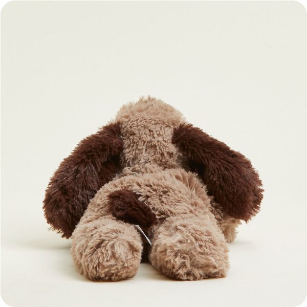 CP-DOG-1-Brown-Dog-05-Crop_e5dd93f2-26ab-4b17-9e7b-9a689690befa