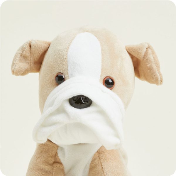 CP-DOG-2-Bull-Dog-01_5ef62937-b959-4056-85b0-51a9e27c1fdb