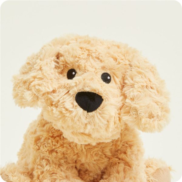 CP-DOG-3-Golden-Dog-03_4243e6e7-7825-4c92-8624-68cc1752b291