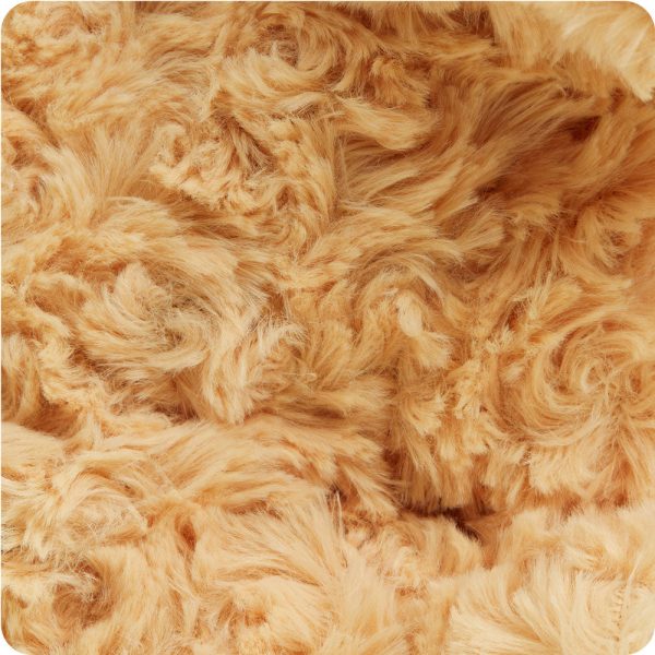 CP-DOG-3-Golden-Dog-06_88a3d430-a125-4dc5-ae93-0abbc7645813