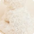 CP-DOG-4-Patch-Curly-Dog-6