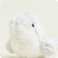 CP-DOL-2-Dolphin-01_a29cb152-16d3-427d-b1df-ca5e1c888bc8