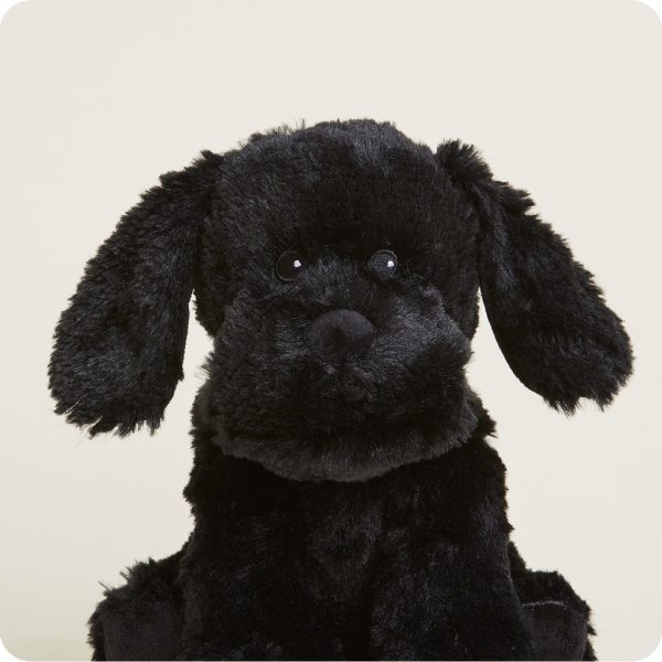CP-LAB-B-Black-Lab-08-1