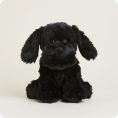 CP-LAB-B-Black-Lab-08